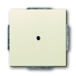 ABB Cover Plate