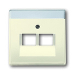ABB White 2 Gang Plastic RJ45 Cover Plate