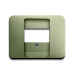 ABB Cover Plate