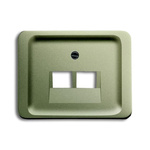 ABB Grey 2 Gang Plastic RJ45 Cover Plate