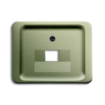 ABB Grey 1 Gang Plastic RJ45 Cover Plate
