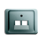 ABB Grey 2 Gang Plastic RJ45 Cover Plate