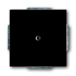 ABB Cover Plate