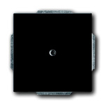 ABB Cover Plate