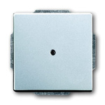 ABB Cover Plate