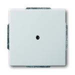 ABB Cover Plate