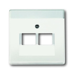 ABB White 2 Gang Plastic RJ45 Cover Plate