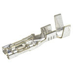 Molex Sabre Series Female Crimp Terminal, 16AWG Min, 18AWG Max
