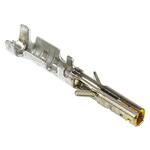 Molex Micro-Fit 3.0 Series Female Crimp Terminal, 30AWG Min, 26AWG Max
