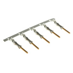 TE Connectivity Type III+ Series Male Crimp Terminal, 18 AWG Min, 16 AWG Max