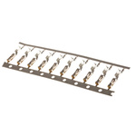TE Connectivity AMPMODU Short Point Series Female Crimp Terminal, 24AWG Min, 20AWG Max