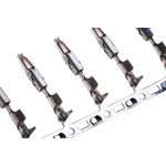 TE Connectivity Micro-Timer II Series Female Crimp Terminal
