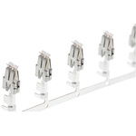 TE Connectivity Standard Power Timer Series Female Crimp Terminal, 17AWG Min, 14AWG Max