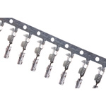 Molex CP Series Female Crimp Terminal, 16AWG Min, 14AWG Max