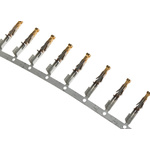 Molex Mega-Fit Series Female Crimp Terminal, 16AWG Min, 14AWG Max