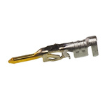 Molex Micro-Fit 3.0 Series Male Crimp Terminal, 24AWG Min, 20AWG Max