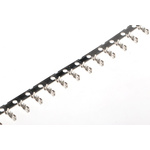 TE Connectivity AMP Mini CT Series Female Crimp Terminal, 28AWG Min, 24AWG Max