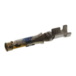 TE Connectivity Type III+ Series Female Crimp Terminal, 18AWG Min, 16AWG Max