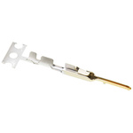 TE Connectivity AMPMODU MTE Series Male Crimp Terminal, 26AWG Min, 22AWG Max