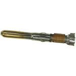 TE Connectivity Commercial MATE-N-LOK Series Male Crimp Terminal, 24AWG Min, 18AWG Max