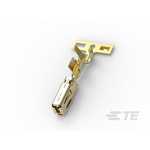 TE Connectivity Crimp Terminal