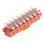 TE Connectivity Micro-MaTch Series Straight Surface Mount PCB Socket, 16-Contact, 2-Row, 1.27mm Pitch, Solder