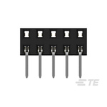 TE Connectivity AMPMODU Series Straight Through Hole Mount PCB Socket, 14-Contact, 2-Row, 2mm Pitch, Solder Termination