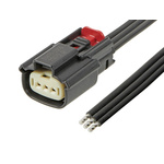 Molex Automotive Connector