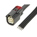 Molex Automotive Connector