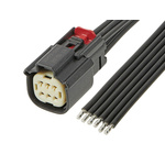 Molex Automotive Connector