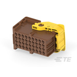 TE Connectivity Automotive Connector Socket 36 Way