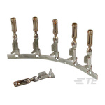 TE Connectivity Automotive Connector Socket, Crimp Termination