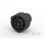 TE Connectivity Automotive Connector Socket 4 Way