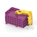 TE Connectivity Automotive Connector Socket 36 Way