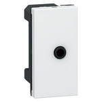 Legrand Jack Plug 3.5 mm Socket