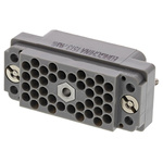 EDAC, 516 Heavy Duty Power Connector, Male, Straight, 38 Way