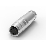 RS PRO 5 Pole M16 Din, 5A, 250 V IP67, Screw Lock, Female, Cable Mount
