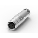 RS PRO 6 Pole M16 Din, 5A, 250 V IP67, Screw Lock, Female, Cable Mount