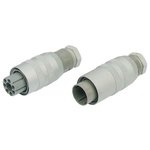 Hirschmann, NR 12 Pole Din Plug, DIN 43651, 5A, 60 V ac IP65, Male, Cable Mount