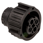 TE Connectivity 2 Pole Din Socket, Female, Cable Mount