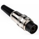 Lumberg, SV 12 Pole M16 Din Plug, DIN EN 60529, 3A, 60 V ac IP40, Male, Cable Mount
