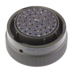 Amphenol Limited, 62GB 41 Way Cable Mount MIL Spec Circular Connector Plug, Socket Contacts,Shell Size 20, Bayonet