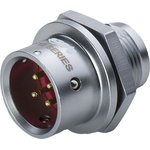 RS PRO Circular Connector, 2 Contacts, Panel Mount, M12 Connector, Plug, Male, IP67