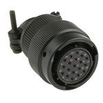 Amphenol Limited, 62GB 19 Way Cable Mount MIL Spec Circular Connector Plug, Socket Contacts,Shell Size 14, Bayonet