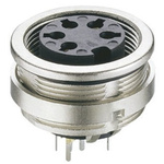 Lumberg 8 Pole Din Socket, DIN EN 60529, 5A, 60 V ac IP68, Female, Wall Mount