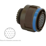 Souriau, 8D 19 Way Cable Mount MIL Spec Circular Connector Plug, Socket Contacts,Shell Size 15, Screw Coupling,