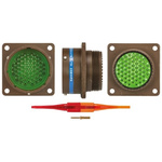 Souriau, 8LT 55 Way Panel Mount MIL Spec Circular Connector Receptacle, Pin Contacts,Shell Size 23, Bayonet Coupling,