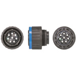 Souriau, 8D 8 Way Cable Mount MIL Spec Circular Connector Plug, Pin Contacts,Shell Size 19, Screw Coupling,