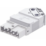 Wieland Gesis Series Power, 5-Pole, Male, Cable Mount