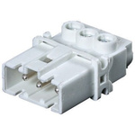 Wieland Gesis Series Power, Male, Panel Mount